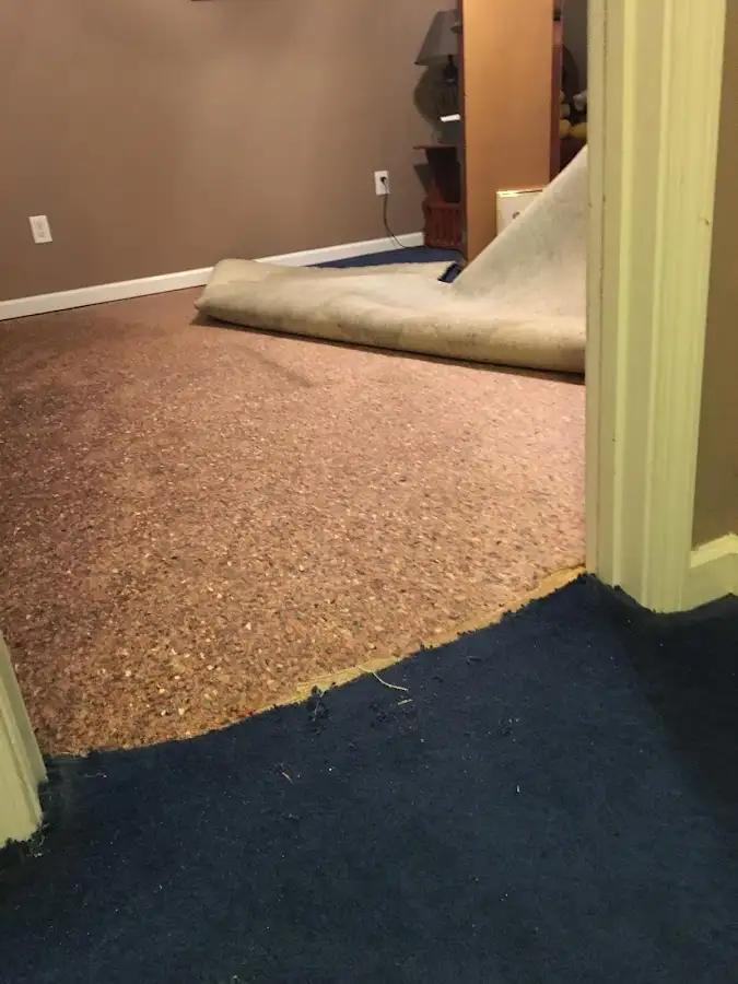 Carpet pad removal revealing water damage during Water Mitigation Services in Orange Park