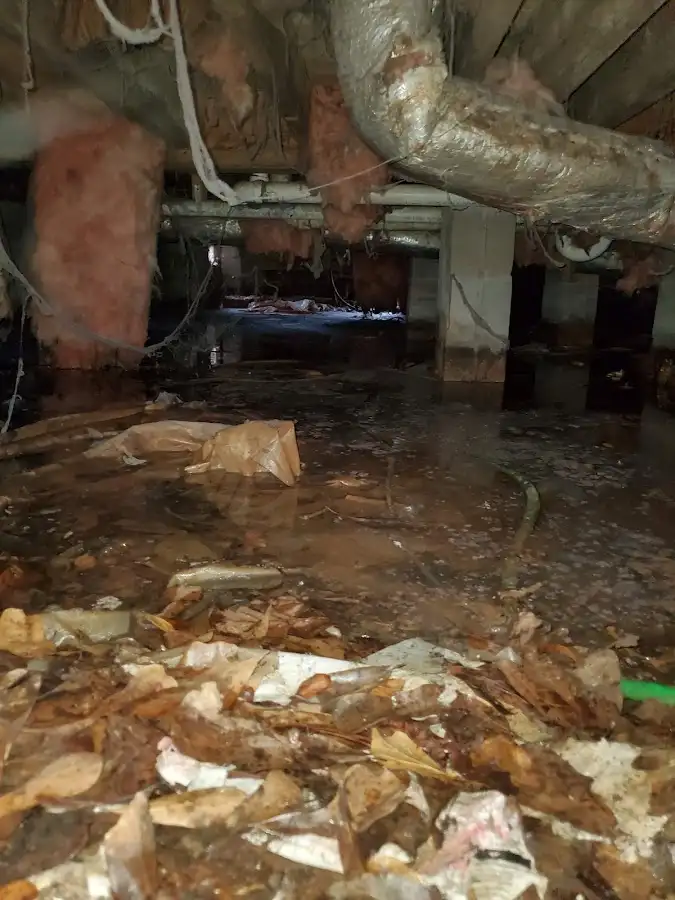 Crawl space flood assessment for Leak Detection & Repair in Orange Park